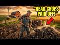 A Deadly Fungus Destroyed His Wheat Field — What He Did With the Dead Crops Shocked Farmers