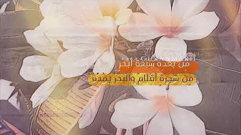 تلاوة عذبة بصوت القارئ إسلام صبحي/حالات واتس اب