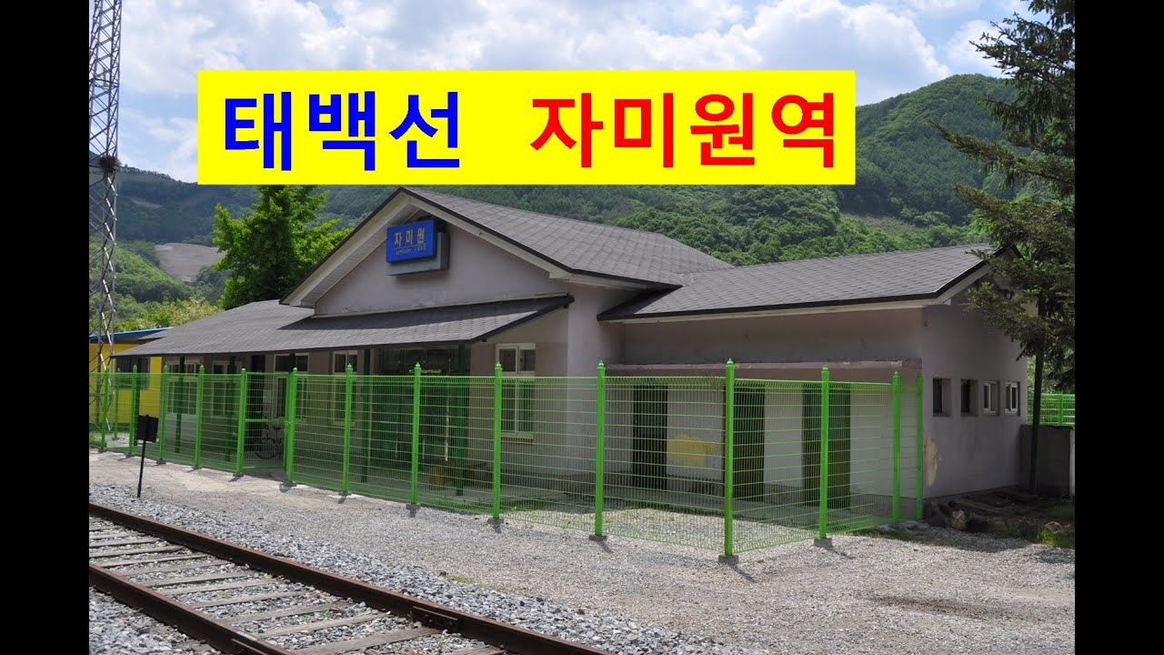 [064] 태백선 자미원역 조동역 예미역 구리남양주설상가상 간이역