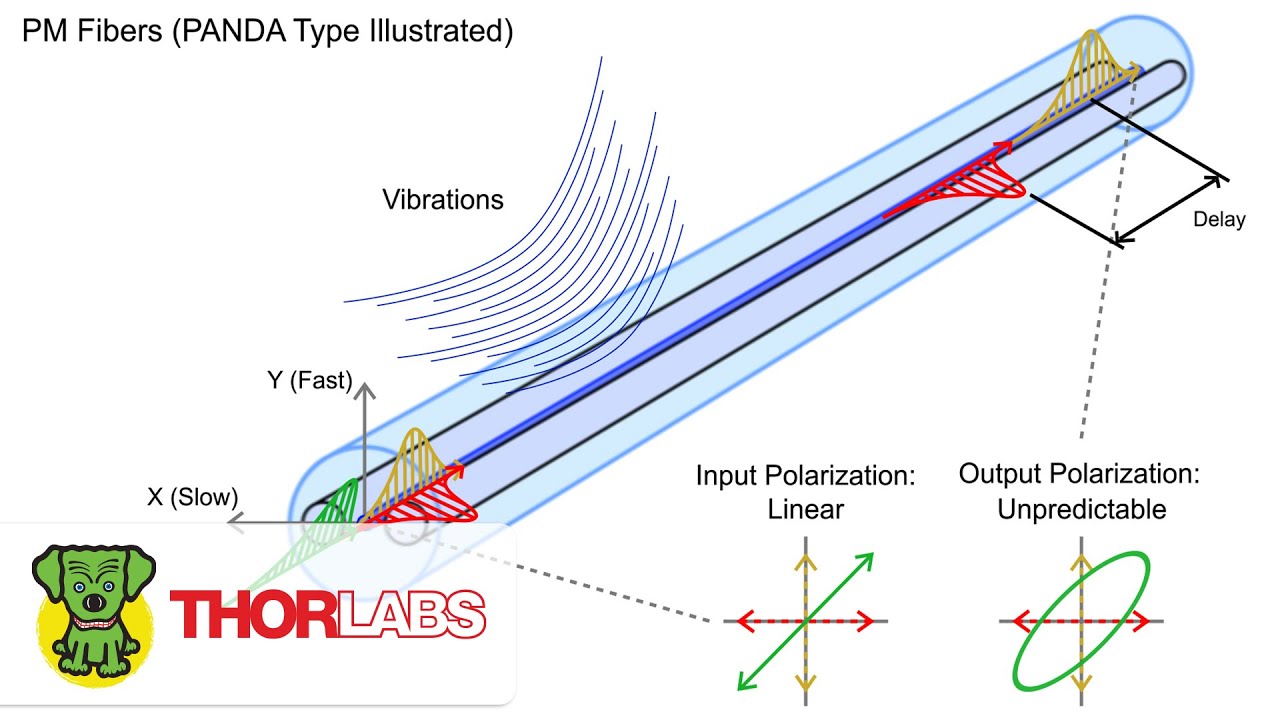 Why PM Fiber Requires Linearly Polarized Light Aligned to an Axis | Thorlabs Insights Topic Focus