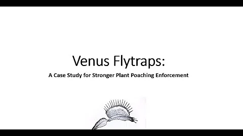 Katrina Outland: Venus flytrap poaching and the ch...