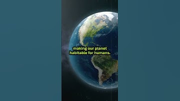 Listening to Trees Decoding the Secret Language of Nature