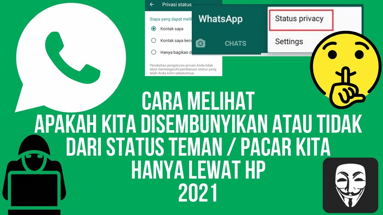  Cara  Melihat Status  Snap Whatsapp Wa  Yang Disembunyikan 