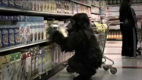 Banana Nut Cheerios  The Gorilla