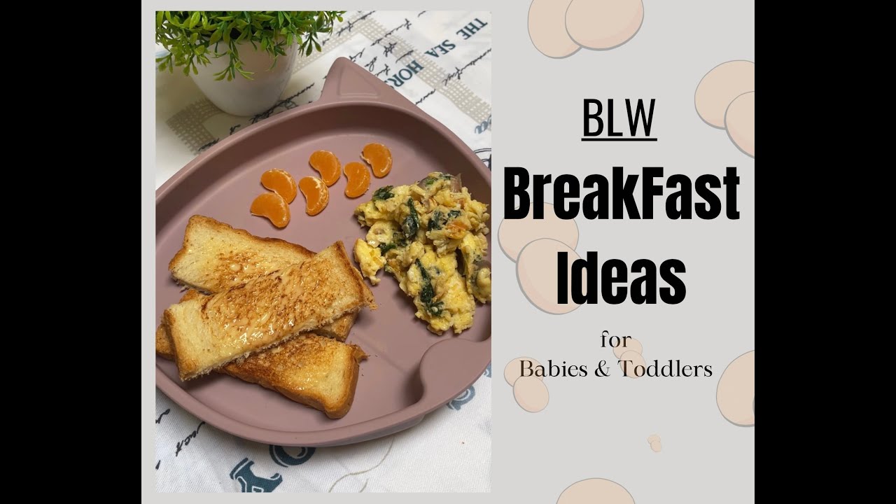BLW BreakFast Ideas For Babies & Toddlers babyledweaning YouTube
