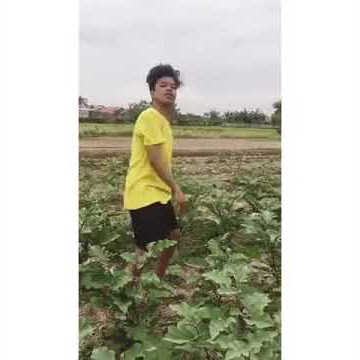 Uang Panai,Story WA kren
