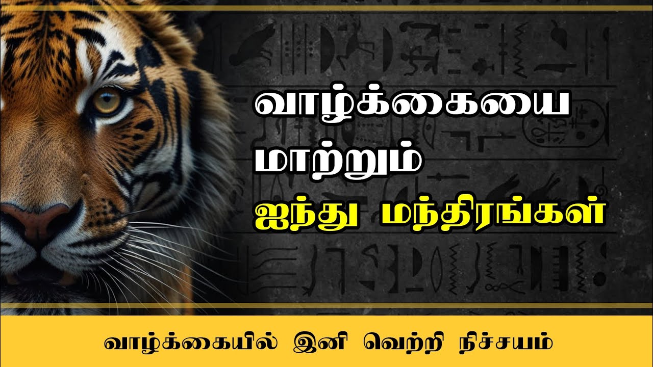 வாழ்க்கையை மாற்றும் 5 Mindset Shifts | இன்று முதல் உங்கள் சிந்தனை மாறட்டும் #avathaaram 