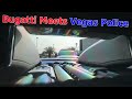 Bugatti Veyron Pulled over by Nevada State Police.