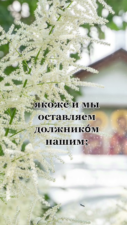 Молитва Отче Наш...Иже еси на небесе́х! #шортс - YouTube