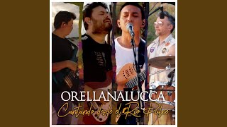 Video thumbnail of "Orellana Lucca - Zamba del Arribeño (En Vivo)"