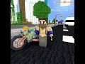 Herobrine and the Robber