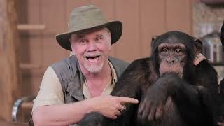 The NEW Chimp Dinner LIVE! 05.08.22 by Myrtle Beach Safari 12,951 views 2 years ago 26 minutes