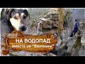 На водопад вместе со Сторисом Лесная собака Скалы Родники Травертиновый источник