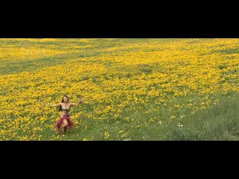 Angel - Titliyon Ki Phoor