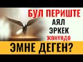 БУЛ ПЕРИШТЕ АЯЛ-ЭРКЕК ЖӨНҮНДӨ ЭМНЕ ДЕГЕН?