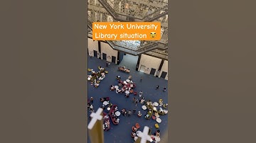 New York University Library situation 🥸 #thedodojourney #library #newyorkcity #nyu #university