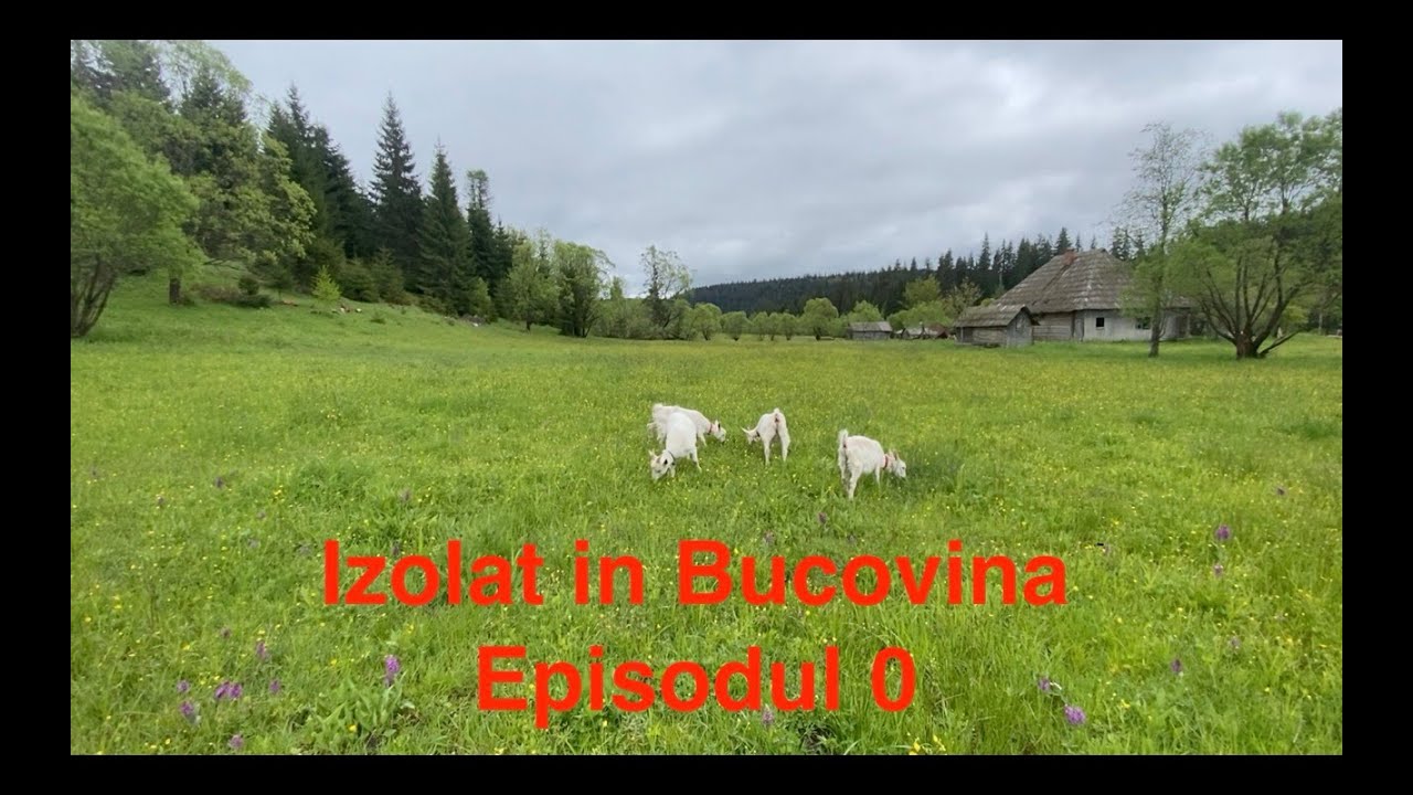 Я отступил в горы — Введение в Colt de Rai