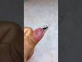 Why Do People Put Insects In Their Nails 