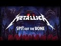 Metallica - Spit Out The Bone Backing Track (drums and bass) with tabs