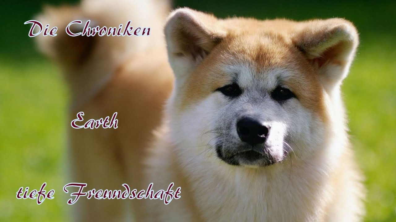 Tiefe Freundschaft Tiefe Freundschaft