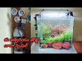 ఇది మాములు తొట్టె కాదు చాలా స్పెషల్!! #aquarium #plants #fish pot #youtube video @avhr7452