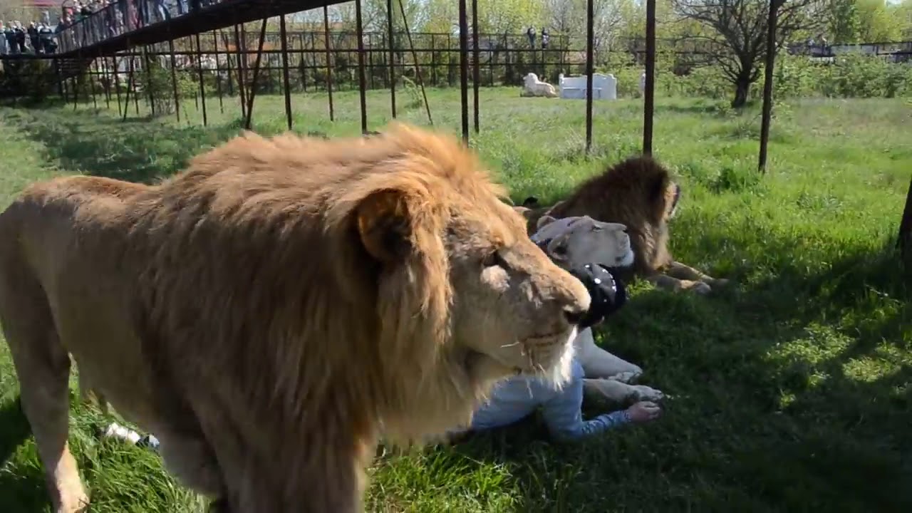 taigan safari park in which country