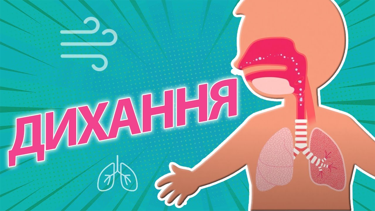 НАВІЩО МИ ДИХАЄМО? | Po co oddychamy?
