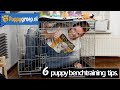 Benchtraining tips voor je Puppy met de snelste resultaten (Benchtraining de Nieuwe Methode)