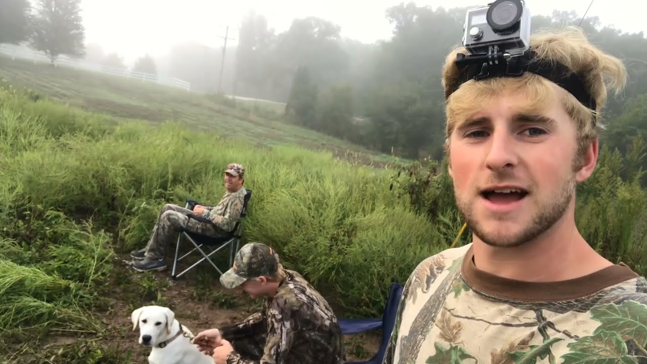 Dove hunting for the first time with our puppy (Troy)