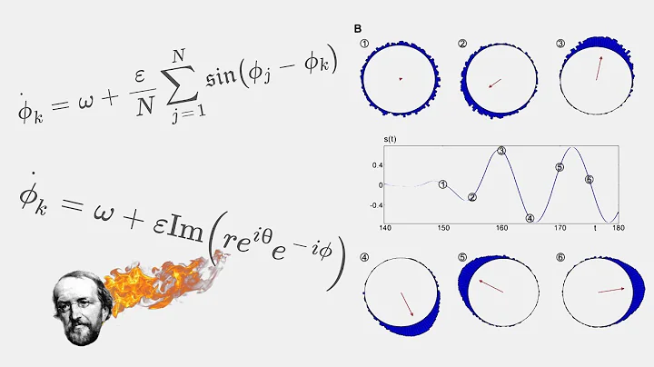 The Kuramoto Model - A Nonlinear Dynamics Exercise