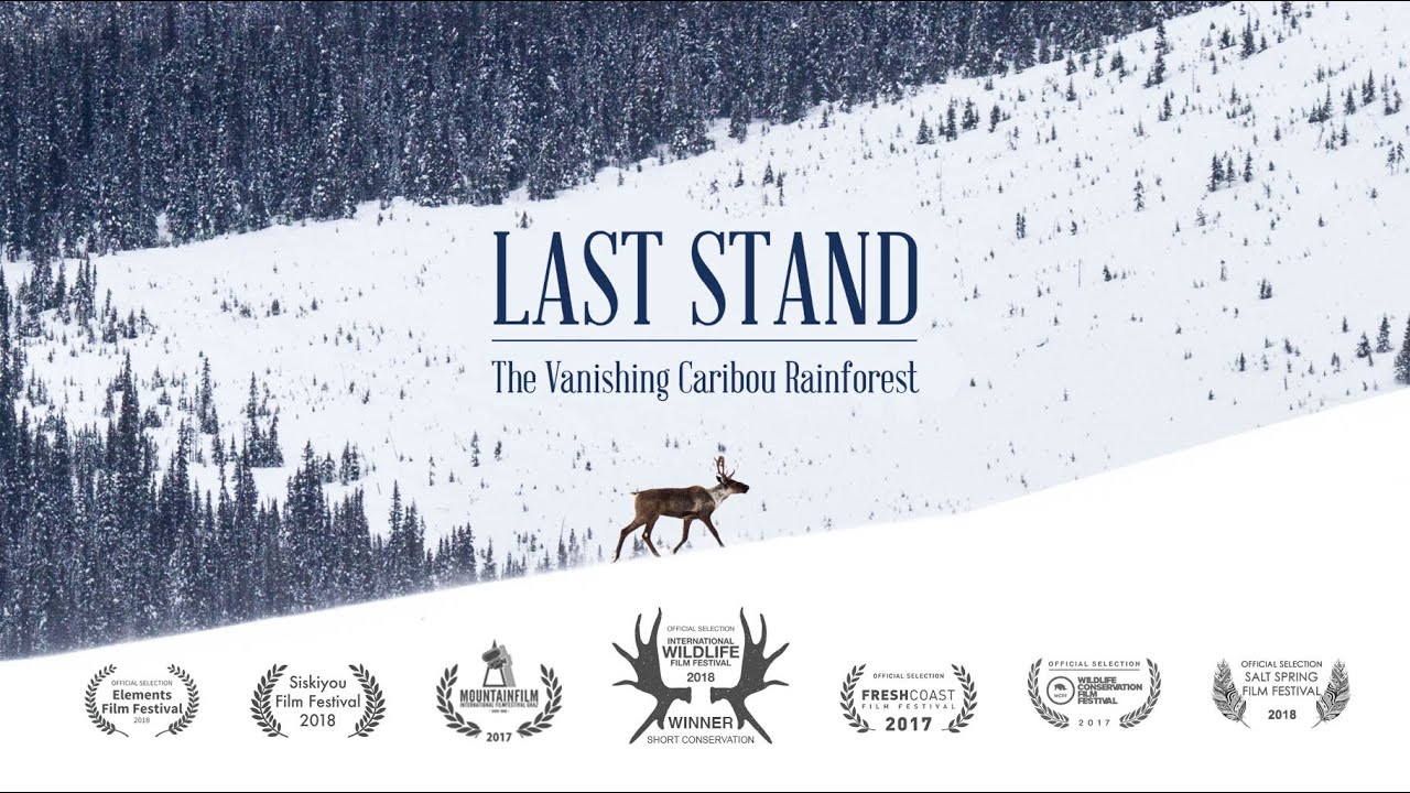 Last Stand - The Vanishing Caribou Rainforest