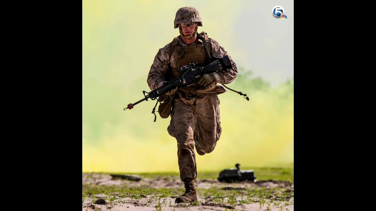 VIDEO: Veterans Day 2015: Tribute to Troops - YouTube