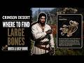 How to find Large Bone FAST - Crimson Desert