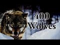 Lgendes de la nature  super pack de 400 loups