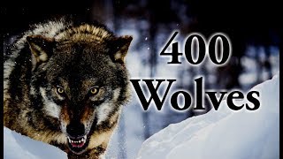 Legends of Nature: Super Pack of 400 Wolves