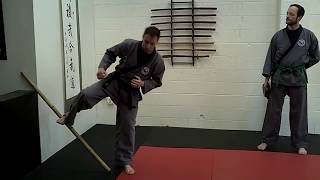 Foundations of Sinmoo Hapkido: Episode 21 - Low Side Kick