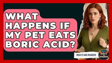 What Happens If My Pet Eats Boric Acid? - Insects and Invaders