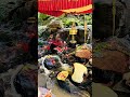 #love #har #ke #song #shiv #ytshorts #mahadev #mahakal #shortvideo #happy #trending #viralvideo