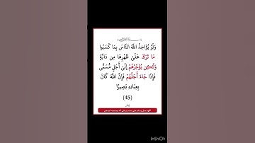 سورة فاطر - سورة 35 - اية 45