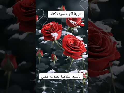 تمر بنا الدنيا سرعة كنانا مصر معا الي الجنة