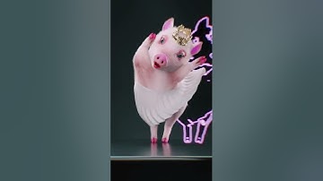 Con lợn biết nhảy, con heo đất đi hài đỏ