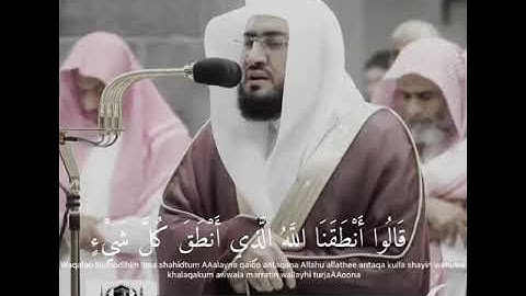 أجمل حالات واتساب قرآن كريم بصوت بندر بليلة #قناة_نخوة_للفوائد