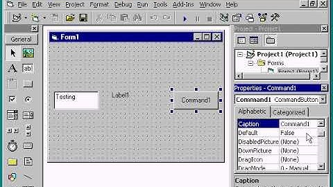 VB6 Textbox , CommandButton and Label