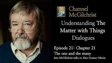 Understanding The Matter with Things Dialogues Episode 21: Chapter 21 The one and the many