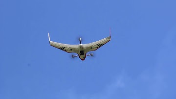 BirdseyeView FireFly6 takes off