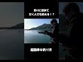 とにかく何か釣りたい時に試してほしい釣りがある #五目釣り #堤防 #初心者
