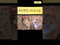 가을 타는 냥🐱 모드 전환🔌#고양이 #cat #cute #shorts#귀여움을찾아줄래요#고양이귀여운