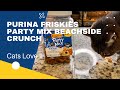 Purina Friskies Cat Treats, - Review