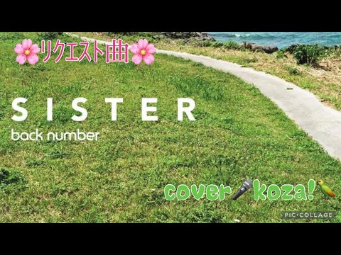 23'🌸ﾘｸｴｽﾄ曲🌸SISTER🤗　back number  cover🎤koza！
