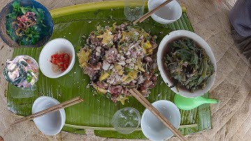 Ngủ Rừng, Buổi Sáng Đi Thăm Bẫy, Một Bữa Thịt Rừng Nộm| Thợ Rừng Núi